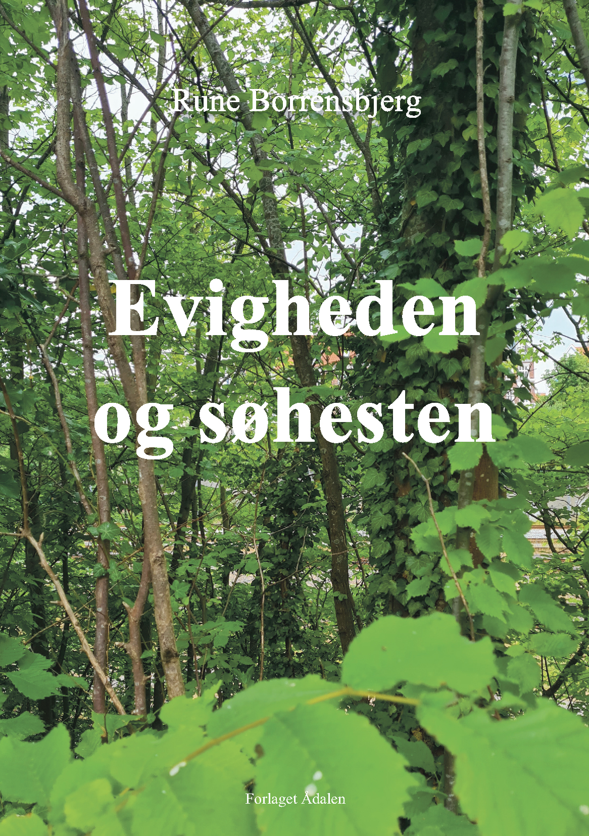 bog